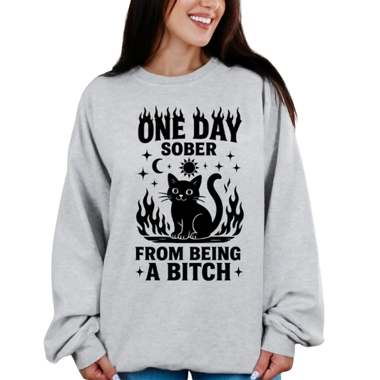 ONE DAY SOBER FROM BEING A BITCH