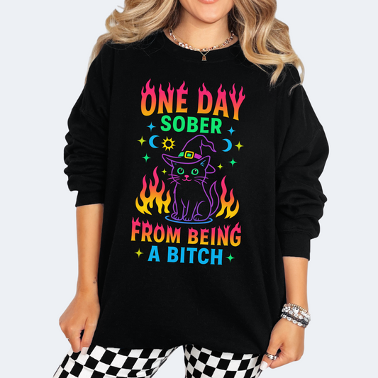 COLORFUL CAT WITH WITCH HAT ONE DAY SOBER FROM BEING A BITCH
